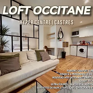 Loft Occitane Hyper Centre Castres (Tarn)